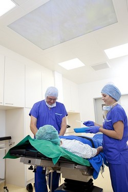 Mutuelle santé micro-entrepreneur